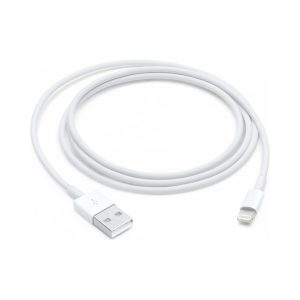 Apple Lightning to USB Cable (1M)