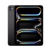 Apple iPadPro M4 11-inch 256GB Space Black WiFi Standard glass International Version