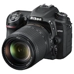 DSLR Cameras