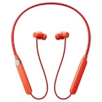Earphones